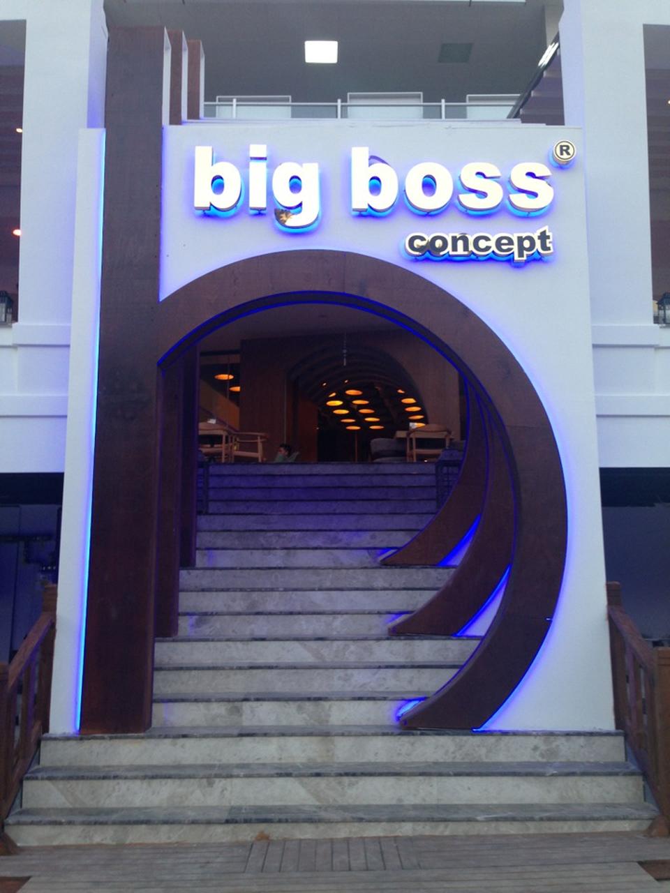 Big Boss Concept