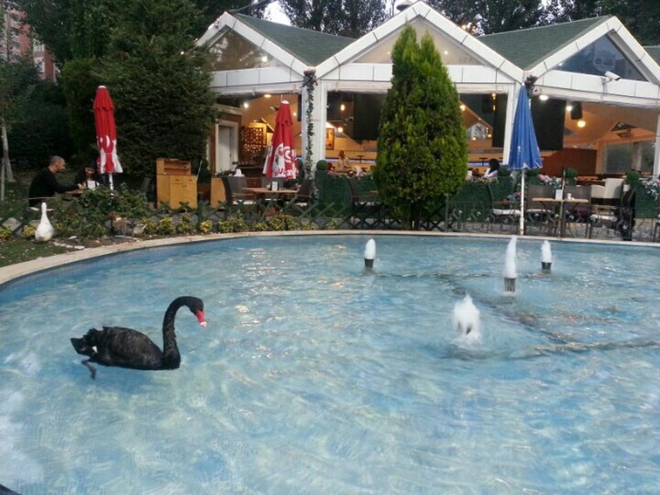 Kuğulu Park Cafe & Restaurant