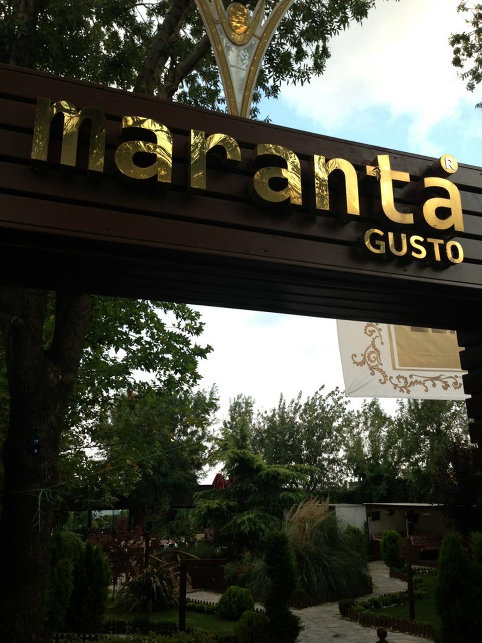 Maranta Gusto