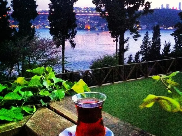 Mihrabat Korusu - Beykoz