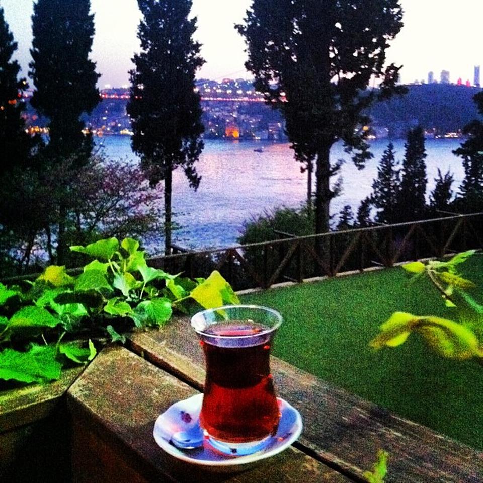Mihrabat Korusu - Beykoz