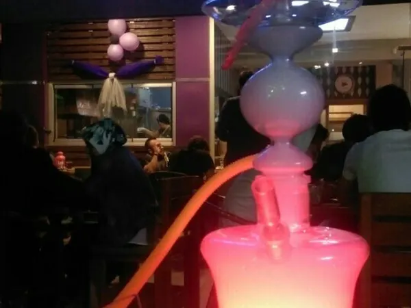 the PUFFIN Cafe - Beykoz