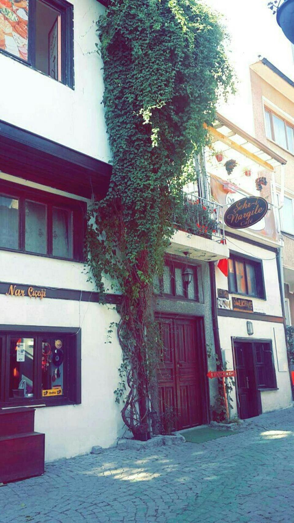 Şehr-i Nargile - Odunpazarı / Eskişehir