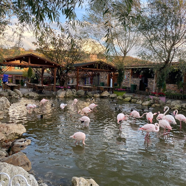 Flamingo Köy