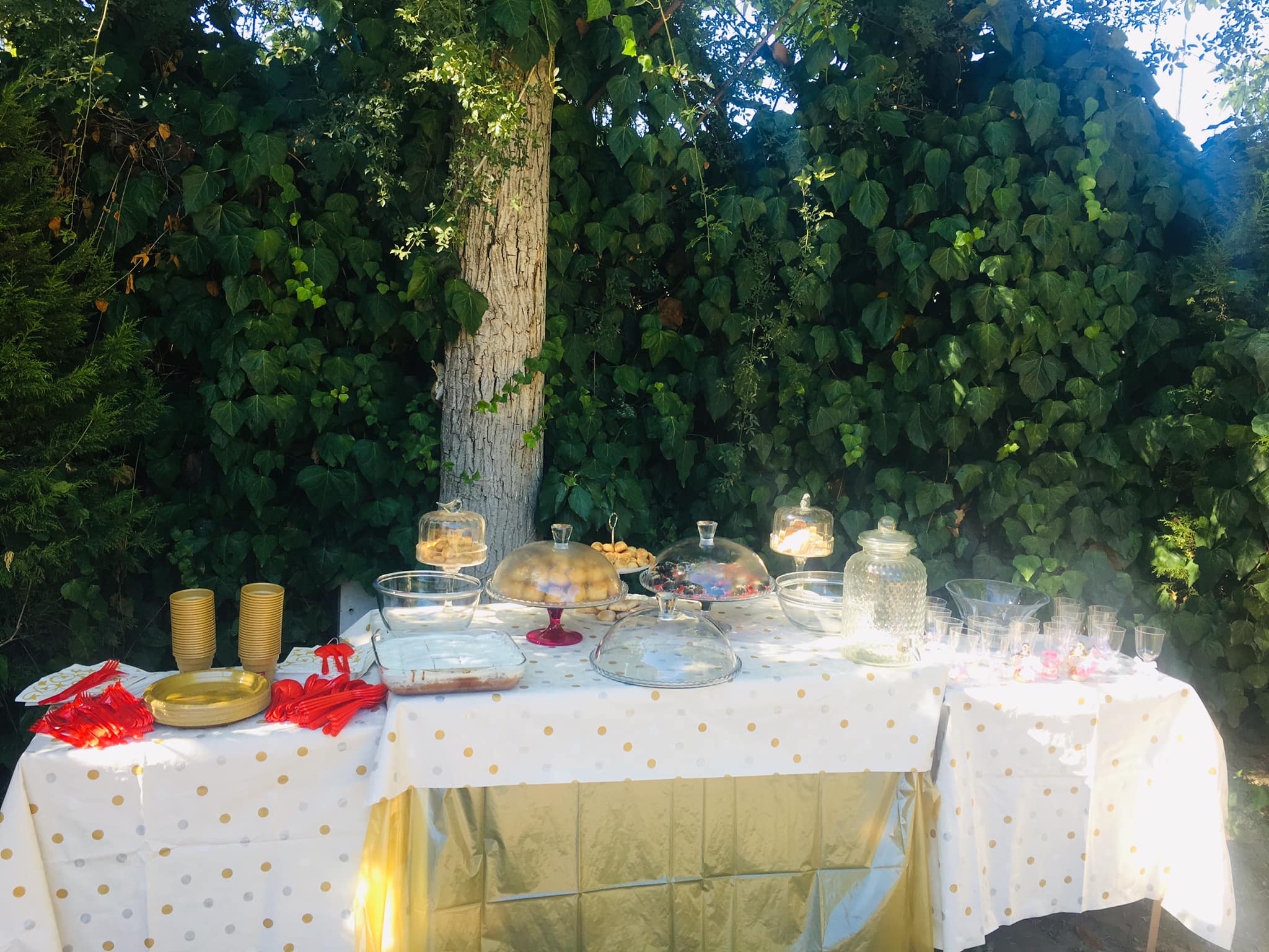 Yilmaz Cafe Aile Çay Bahçesi