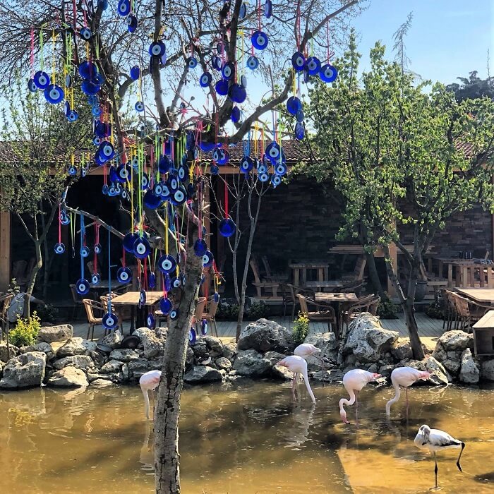 Flamingo Köy
