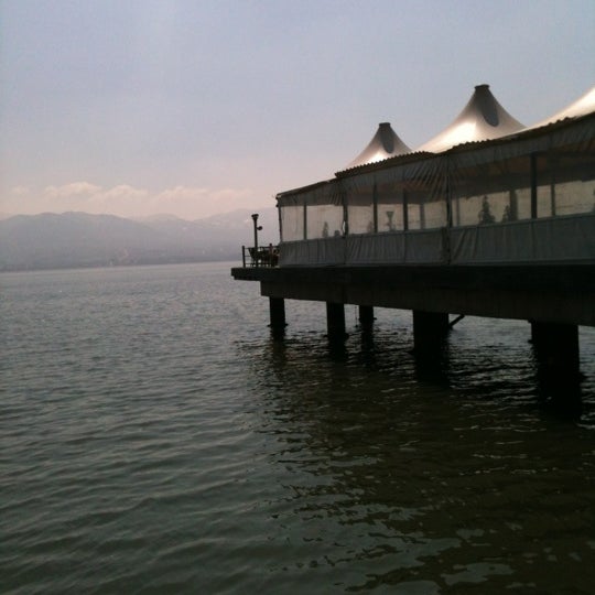 Sekafe