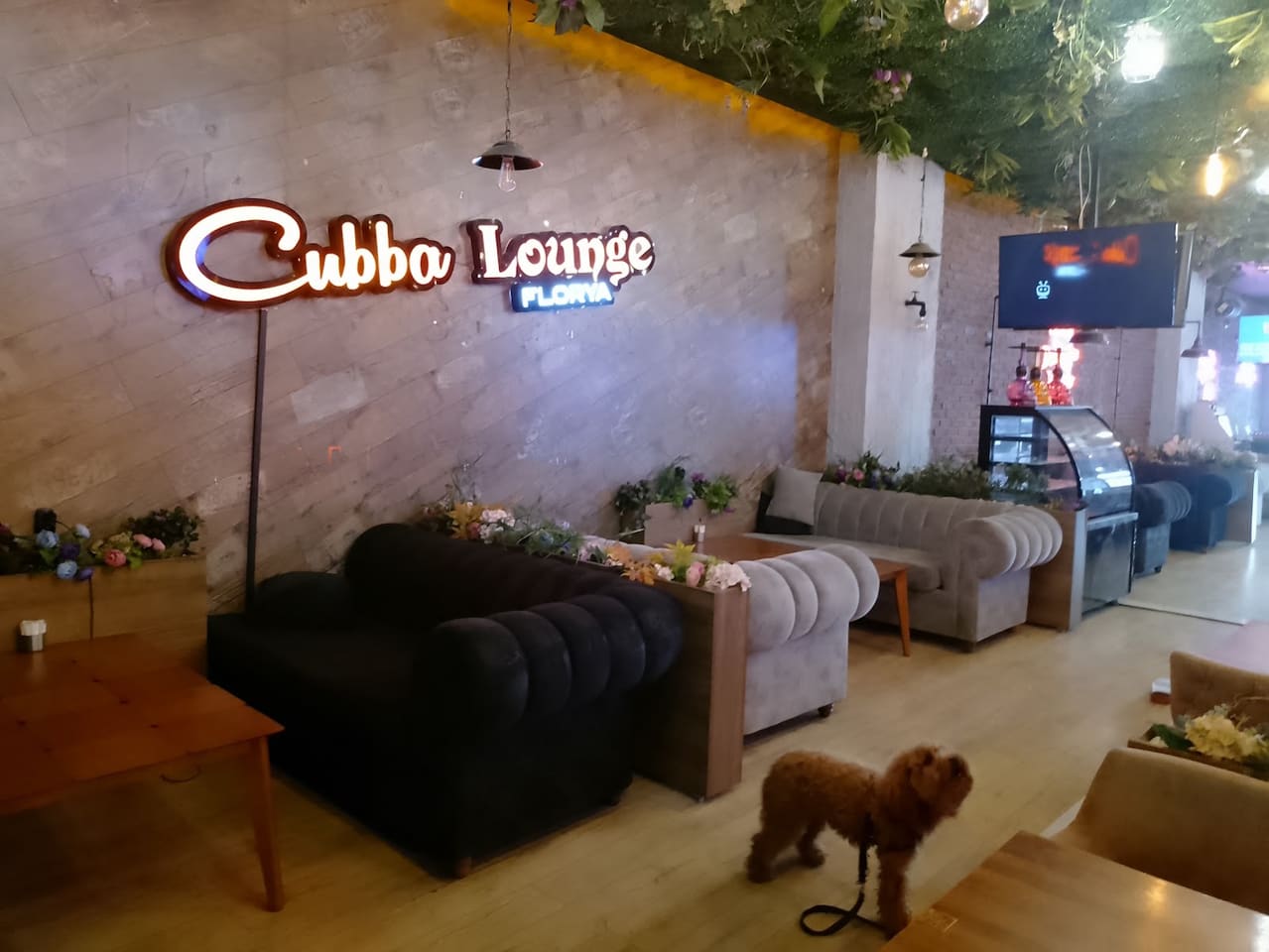 Cubba Lounge