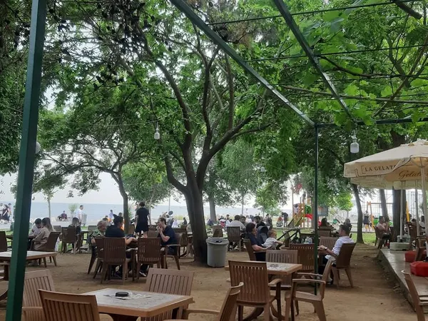 Green cafe nargile ve aile çay bahçesi